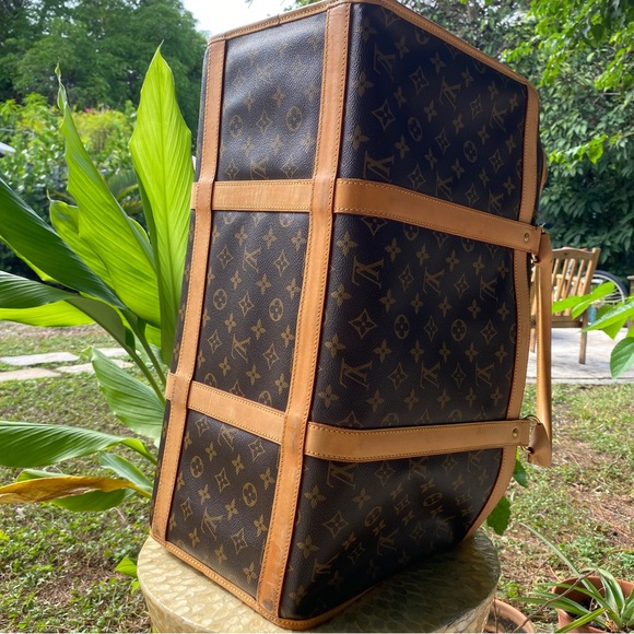 Louis Vuitton Pet Carrier - Picture 11 of 15